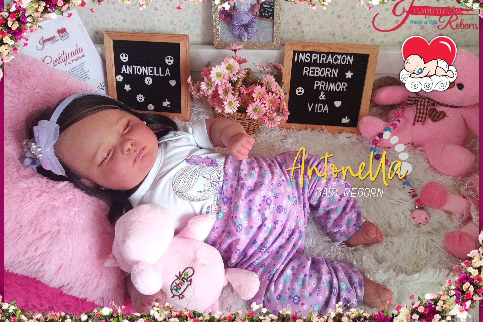 Antonella ♥